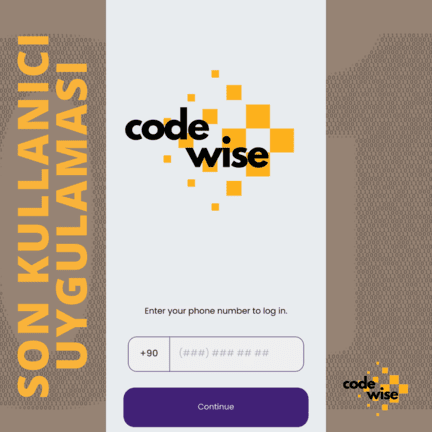 Diverse team of experts at Codewise